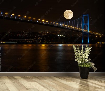 Fototapeta Most i świecący księżyc w mieście New York