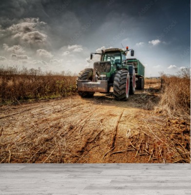 Fototapeta Traktor - Ciągnik