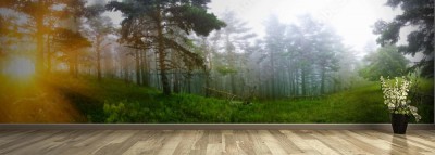 Fototapeta Zachód słońca w lesie sosnowym