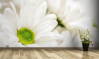 Fototapeta Abstrakcjonistyczne tło kwiatowe
