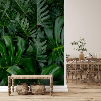 Fototapeta do salonu z motywem tropikalnych liści