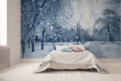 Fototapeta Zimowa przyroda - śnieg w parku