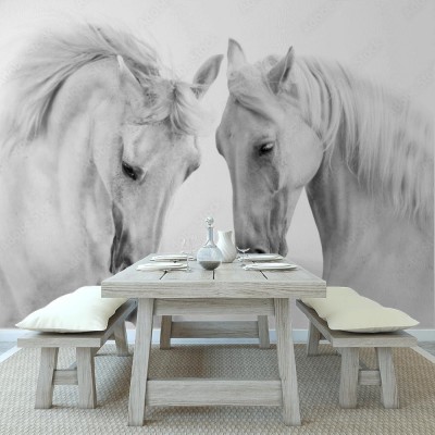 Fototapeta Białe konie na białym tle