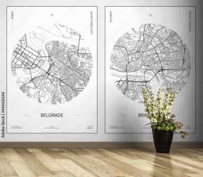 Fototapeta miejski plan ulic miasta Belgrad i Bratysława