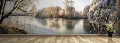 Fototapeta Panorama zamarzniętego jeziora i ośnieżonych drzew