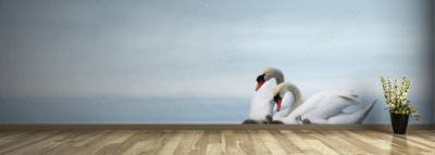 Fototapeta Rodzina łabędzi na tafli jeziora