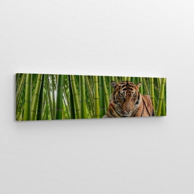 tygrys-na-tle-panoramy-lodyg-bambusa