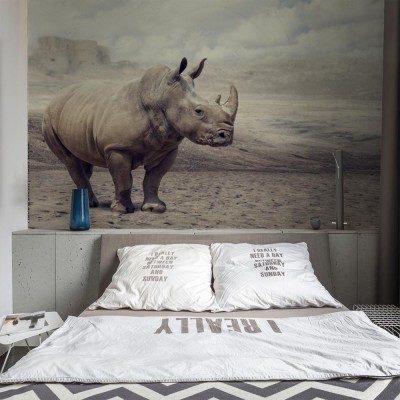 Fototapeta Nosorożec na wolności