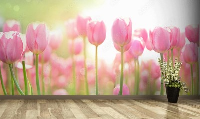 Fototapeta Piękne różowe tulipany na rozmytym tle