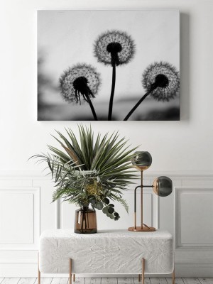 Obraz na płótnie Trzy Dmuchawce