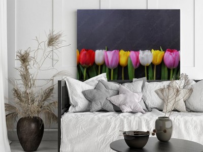 wielobarwne-tulipany-na-ciemnoszarej-scianie