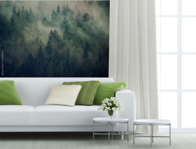 Fototapeta Mglisty krajobraz jodłowego lasu w stylu vintage