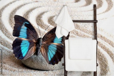 Fototapeta Motyl na piasku w koncepcji SPA