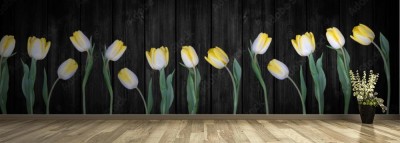 Fototapeta Panorama przedstawiająca żółte tulipany na czarnym tle