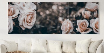 Obrazy do salonu Piękne róże w ogrodzie