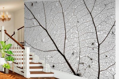 Fototapeta Czarno-biały szkielet liścia