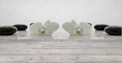 Fototapeta Koncepcja spa w ujęciu panoramicznym