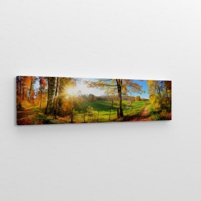 Obrazy do salonu Epicki jesienny krajobraz lesny