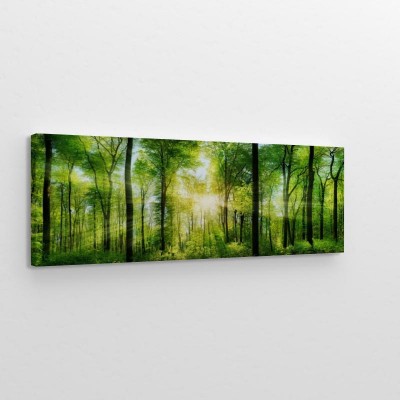 fotolia-82972458-subscription-monthly-xxl