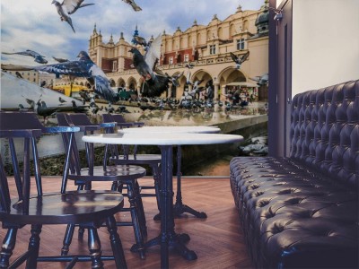 Fototapeta Wiele gołębi na starym mieście Kraków