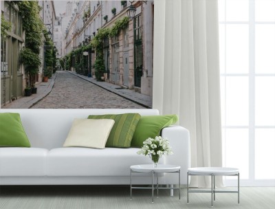 Fototapeta Przytulna uliczka w Paryżu