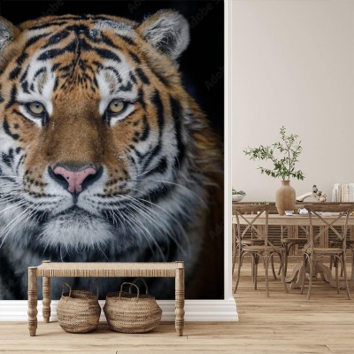 Fototapeta Tygrys amurski - doskonały portret