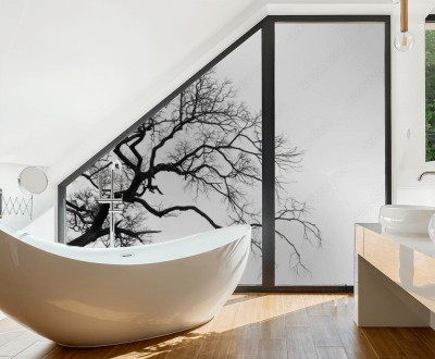 Naklejka na okno łazienkowe Rozłożysta gałąź drzewa na białym tle