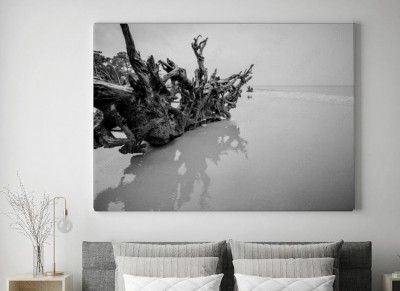 Obraz na płótnie Artystyczne czarno białe zdjęcie
