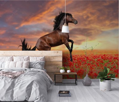 Fototapeta Koń w polu maku