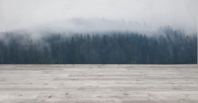 Fototapeta Mglista panorama lasu