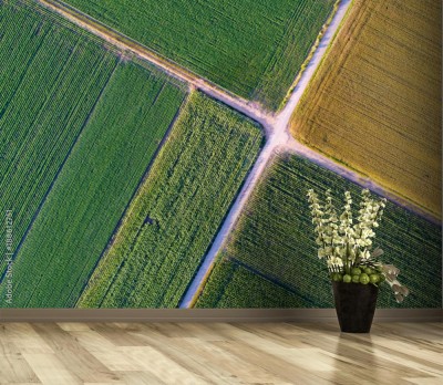 Fototapeta Widok z góry działek rolnych