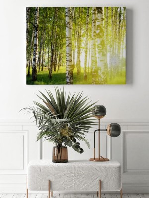 Obraz na płótnie brzozy w letnim lesie