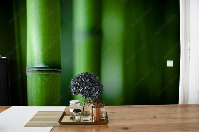 Fototapeta Bambusowy zen