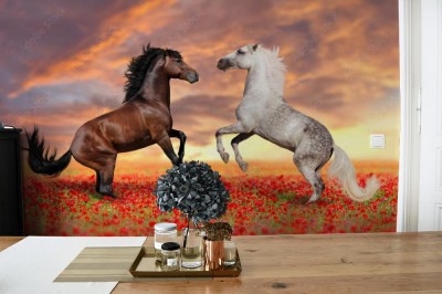 Fototapeta Dwa ogiery w kwiatach maku