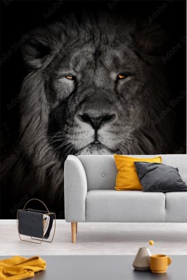 Fototapeta Lew z żółtymi oczami