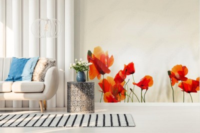 Fototapeta Maki Pana Tomasza