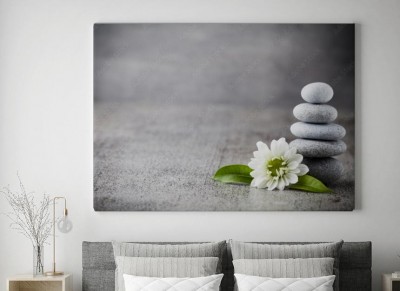 Obraz na płótnie Tło odnowy biologicznej