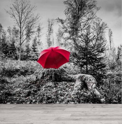 Fototapeta Czarno-biały obraz - czerwony parasol na pniu