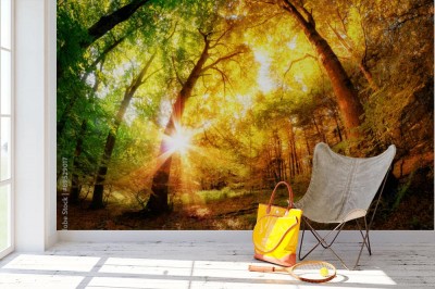 Fototapeta Magiczny Las