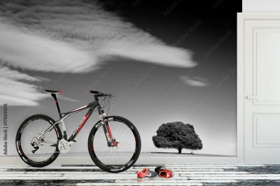 Fototapeta Piękny stary dąb