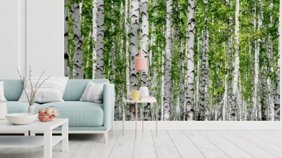 Fototapeta Zielone liście w Brzozowym lesie