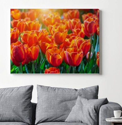tlo-czerwonych-tulipanow
