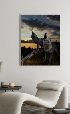 Obraz na płótnie Wilki po zachodzie słońca