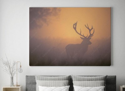 Obraz na płótnie Zamglona sylwetka jelenia