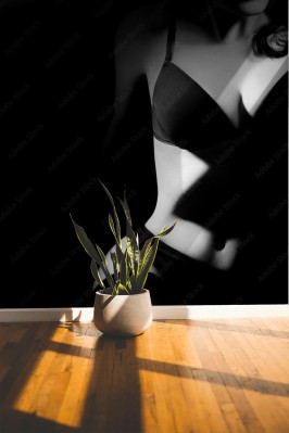 Fototapeta Erotyczna naga kobieta