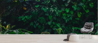 Fototapeta Tropikalne liście