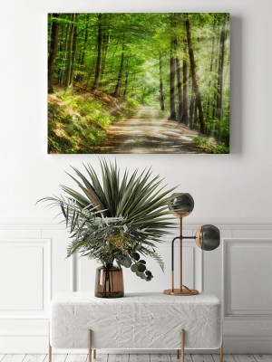 Obraz na płótnie Zielony las latem z promieniami słońca