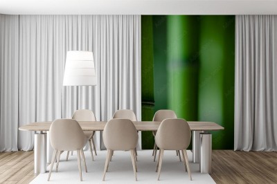 Fototapeta Bambusowy zen