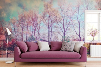 Fototapeta Zaczarowana sceneria wsi