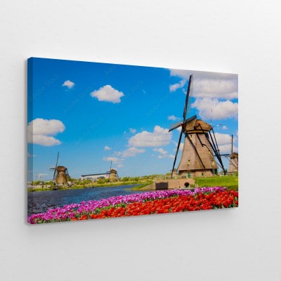 holenderskie-wiatraki-na-polu-tulipanow